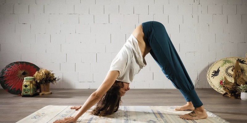 哈他瑜伽 hatha yoga