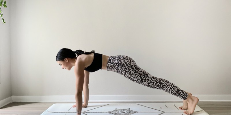 斜板式 Utthita Chaturanga Dandasana