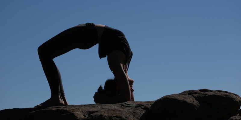 瑜伽练习 yoga training