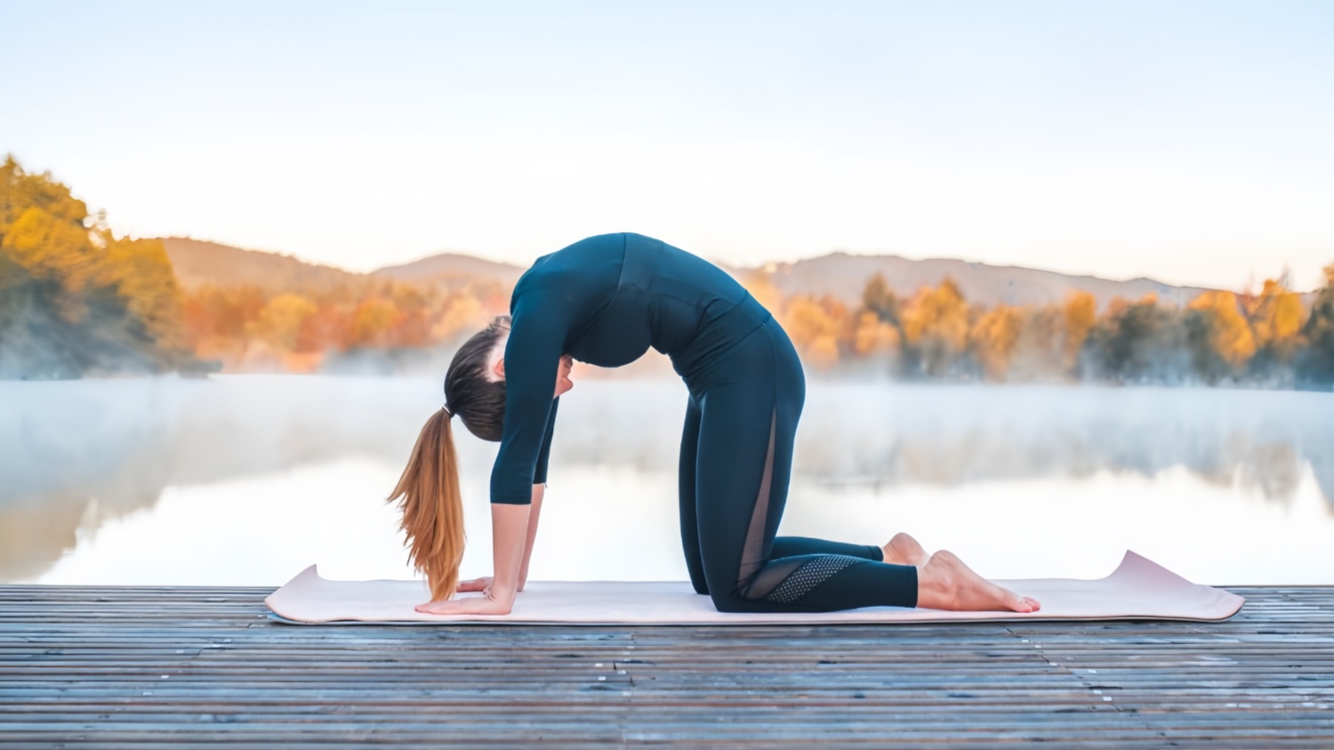 猫式 Marjaryasana