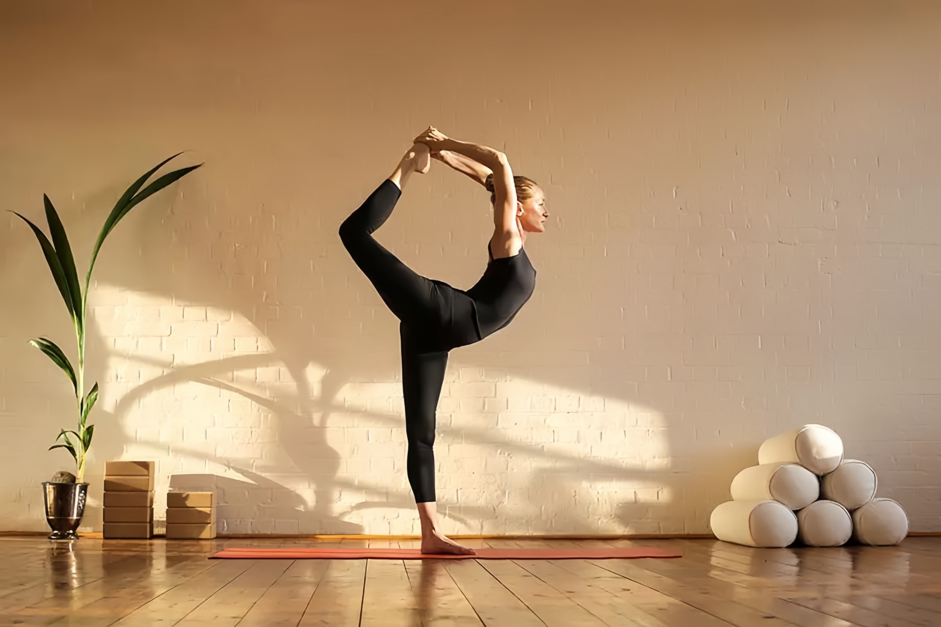 舞王式 Natarajasana