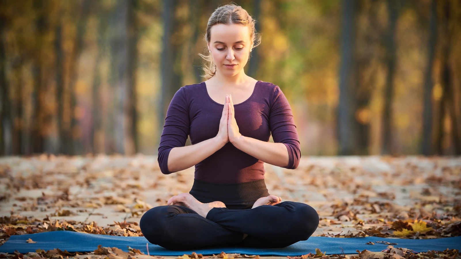 莲花坐 Padmasana